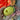 A hand holds the Lemon Pipe, with its smooth, rounded form highlighted against a blurred, colorful floral background.