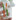 BDD Wholesale BDD Wholesale Space King Gummy Worms Water Pipe