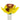 A detailed close-up of the Daffodil Glass Bowl, showcasing its petal-like design in vibrant yellow and a clear glass base.